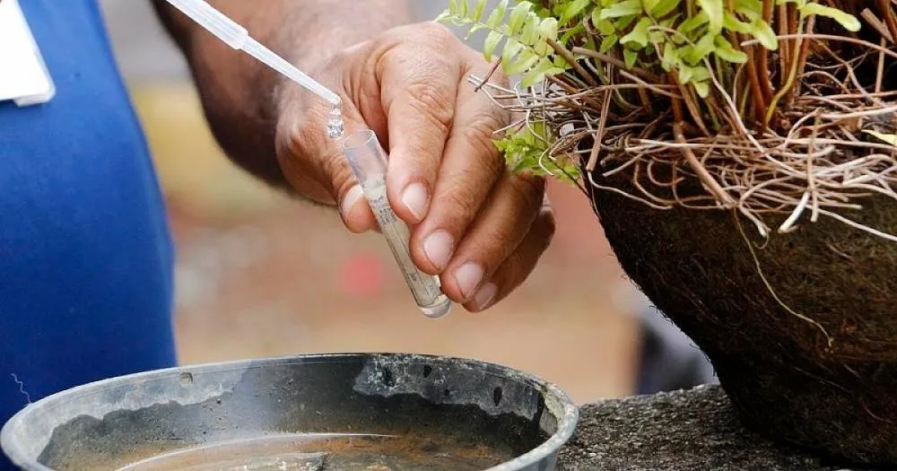 Irecê intensifica combate ao mosquito da dengue com mobilização em todos os bairros