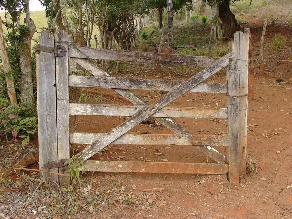 Jovem é executado durante invasão a fazenda em Jussara