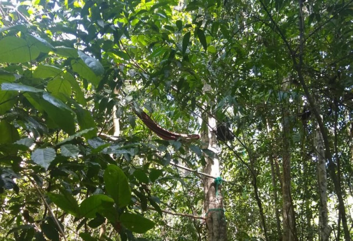 Homem sai para caçar com amigos e morre após tiro acidental