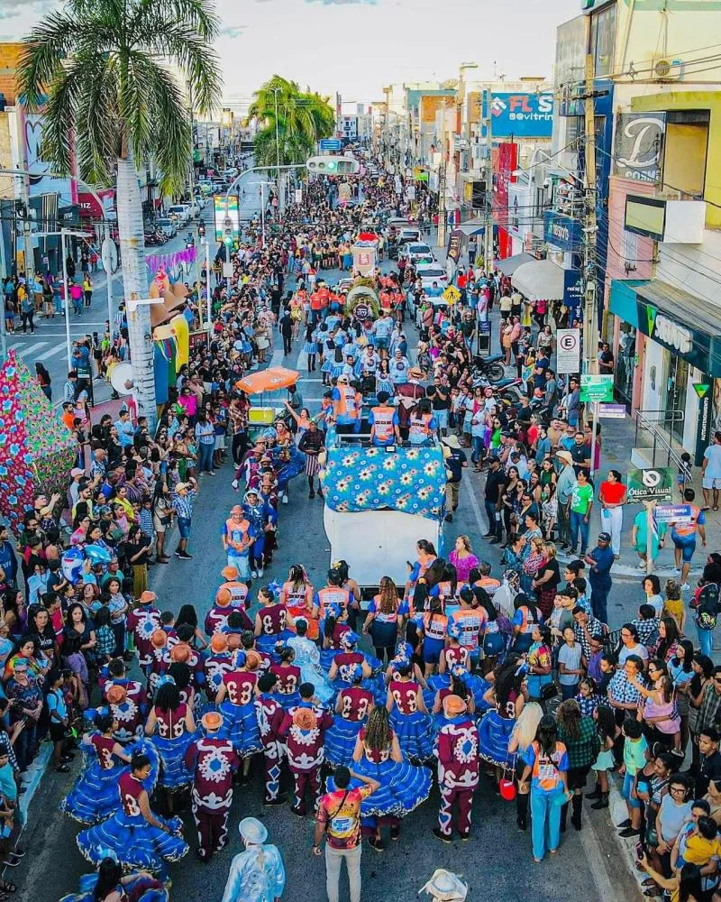 Desfile das Carroças em Irecê (Foto: Reprodução/Ascom)