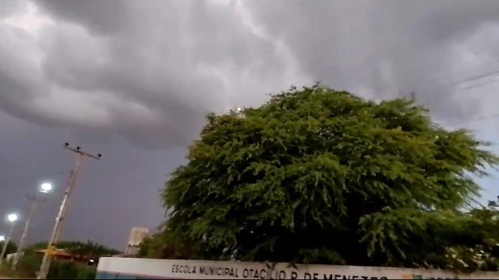 Irecê: Galhos de algaroba tocam fiação elétrica em escola de Angical e pais cobram providência 